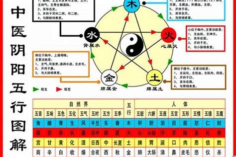 1984五行屬什麼|1984年是什么命 1984年是什么命五行属什么